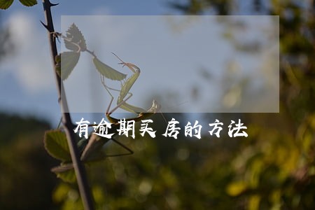 有逾期买房的方法 有逾期买房的方法