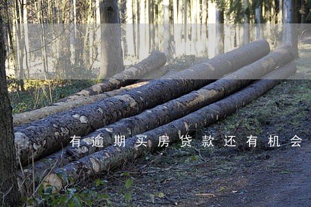 有逾期买房贷款还有机会吗