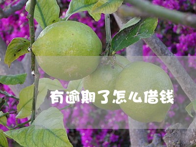 有逾期了怎么借钱 有逾期了怎么借钱