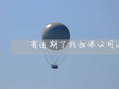 有逾期了找担保公司还能借出款吗 有逾期了找担保公司还能借出款吗
