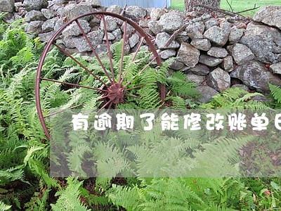 有逾期了能修改账单日吗 有逾期了能修改账单日吗
