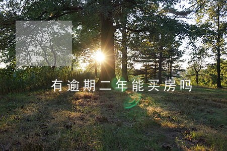 有逾期二年能买房吗 有逾期二年能买房吗