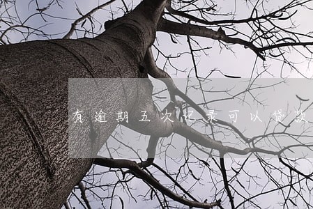有逾期五次记录可以贷款吗 有逾期五次记录可以贷款吗