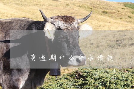 有逾期什么平台借钱