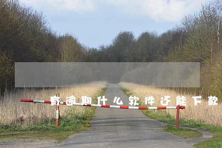 有逾期什么软件还能下款