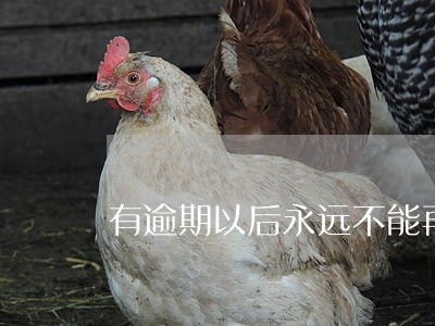 有逾期以后永远不能再借款了吗