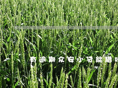 有逾期众安小贷能借吗 有逾期众安小贷能借吗