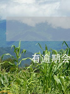有逾期会上征信记录吗 有逾期会上征信记录吗