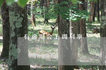 有逾期会上调利率 有逾期会上调利率
