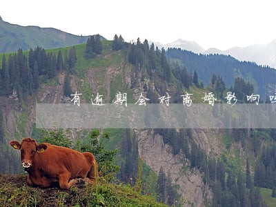 有逾期会对离婚影响吗 有逾期会对离婚影响吗