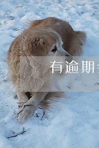 有逾期会影响买房吗