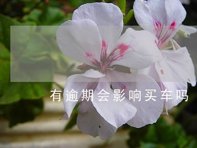 有逾期会影响买车吗 有逾期会影响买车吗