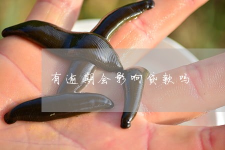 有逾期会影响贷款吗 有逾期会影响贷款吗