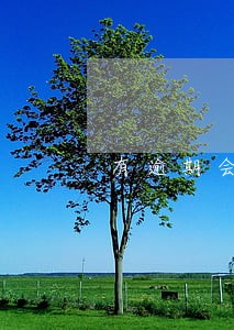 有逾期会显示征信吗 有逾期会显示征信吗