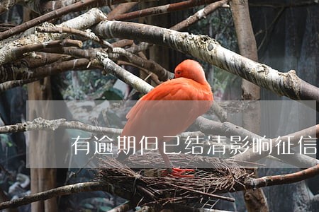 有逾期但已结清影响征信么 有逾期但已结清影响征信么