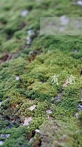 有逾期但已还清可以贷款吗 有逾期但已还清可以贷款吗