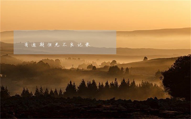 有逾期但无不良记录 有逾期但无不良记录
