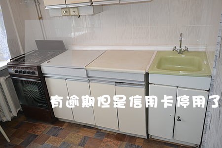 有逾期但是信用卡停用了 有逾期但是信用卡停用了
