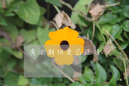有逾期但是已还清 有逾期但是已还清