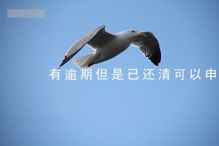 有逾期但是已还清可以申请房贷吗 有逾期但是已还清可以申请房贷吗