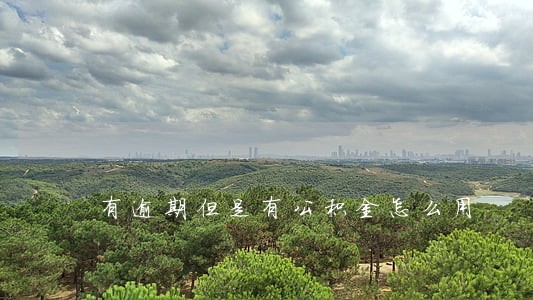 有逾期但是有公积金怎么用 有逾期但是有公积金怎么用