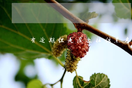 有逾期但是没上征信黑名单 有逾期但是没上征信黑名单