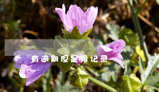 有逾期但是没记录 有逾期但是没记录