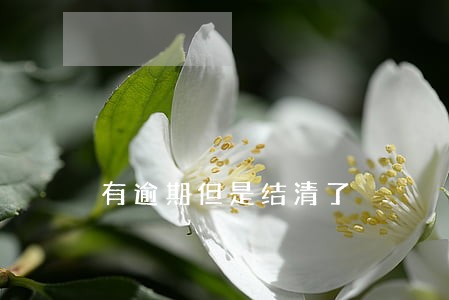 有逾期但是结清了