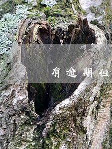 有逾期但有担保人 有逾期但有担保人