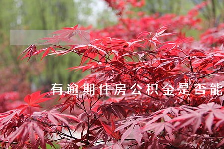 有逾期住房公积金是否能用 有逾期住房公积金是否能用