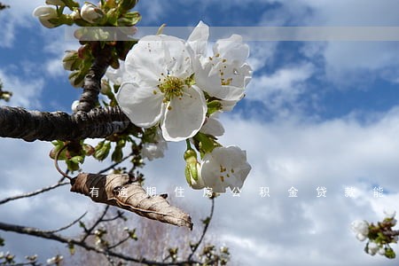 有逾期住房公积金贷款能不能行 有逾期住房公积金贷款能不能行