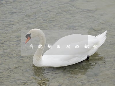 有逾期使用公积金