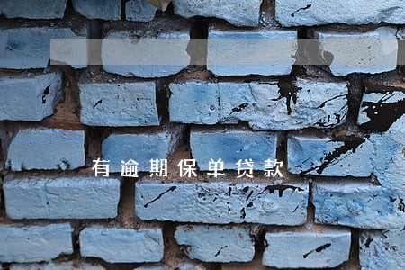 有逾期保单贷款 有逾期保单贷款