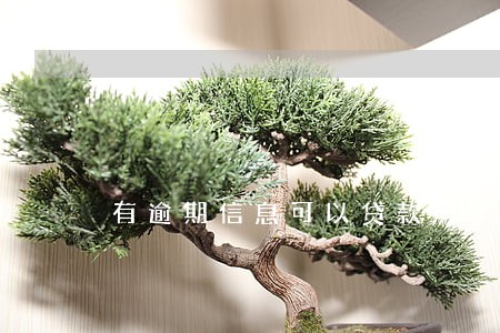 有逾期信息可以贷款房子吗 有逾期信息可以贷款房子吗