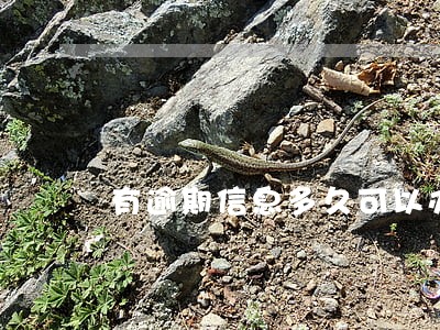 有逾期信息多久可以办理房贷 有逾期信息多久可以办理房贷