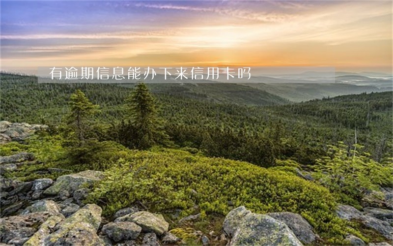 有逾期信息能办下来信用卡吗