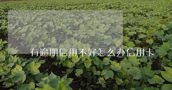 有逾期信用不好怎么办信用卡 有逾期信用不好怎么办信用卡