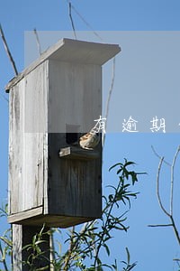 有逾期信用不良会怎样 有逾期信用不良会怎样