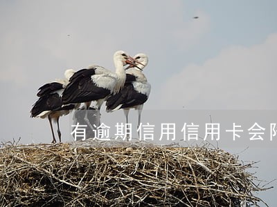 有逾期信用信用卡会降额么 有逾期信用信用卡会降额么