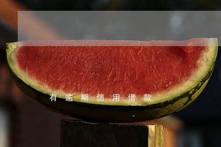 有逾期信用借款 有逾期信用借款