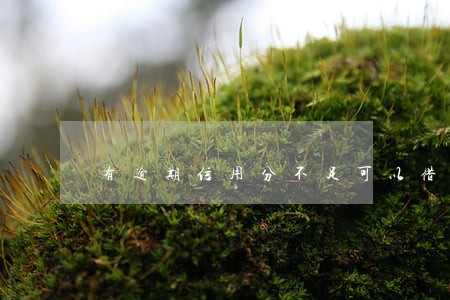 有逾期信用分不足可以借到钱 有逾期信用分不足可以借到钱