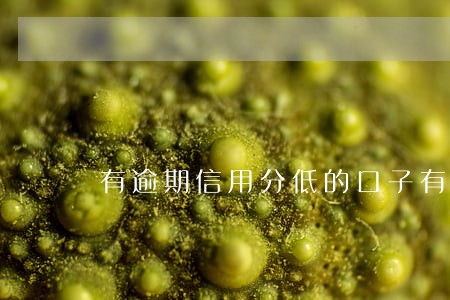 有逾期信用分低的口子有吗 有逾期信用分低的口子有吗