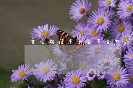 有逾期信用卡会不会秒拒 有逾期信用卡会不会秒拒