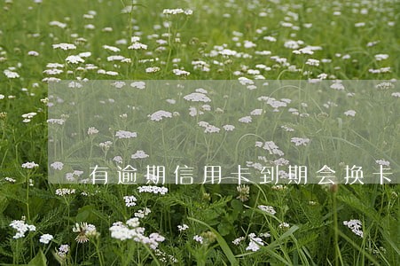 有逾期信用卡到期会换卡吗 有逾期信用卡到期会换卡吗