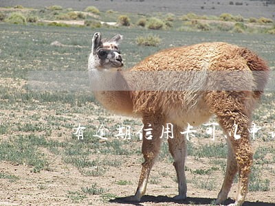 有逾期信用卡可以申请吗