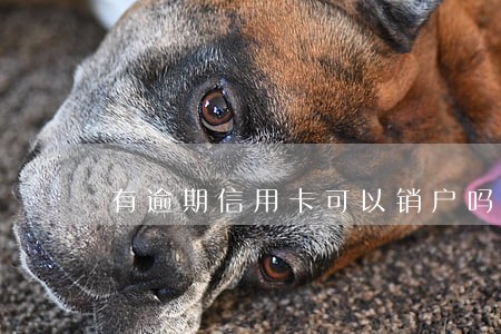 有逾期信用卡可以销户吗 有逾期信用卡可以销户吗