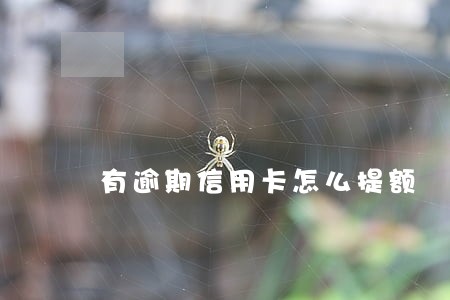 有逾期信用卡怎么提额 有逾期信用卡怎么提额