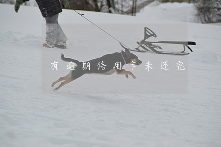 有逾期信用卡未还完 有逾期信用卡未还完