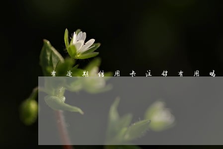 有逾期信用卡注销有用吗