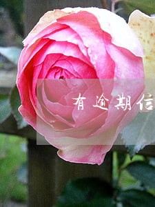 有逾期信用卡能封卡吗